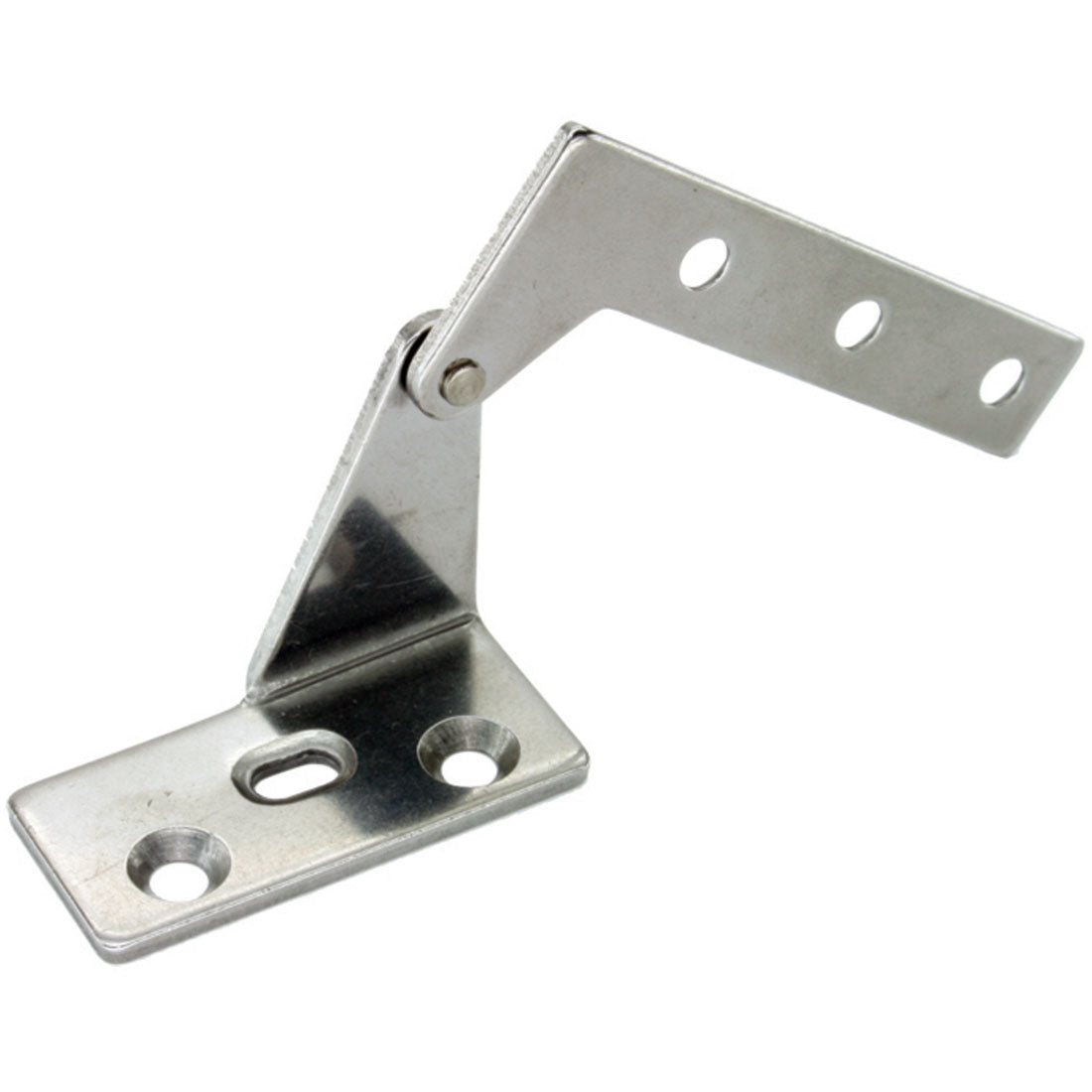 Stainless Steel Pivot Hinges