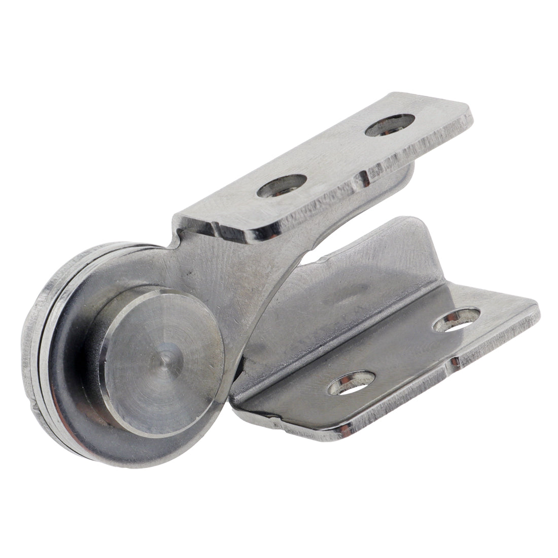 Adjustable Tension Hinge SS 80mm