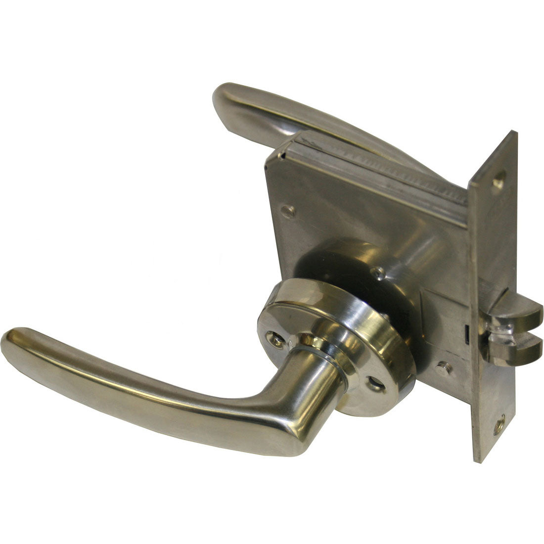 Stainless Steel Door Latch