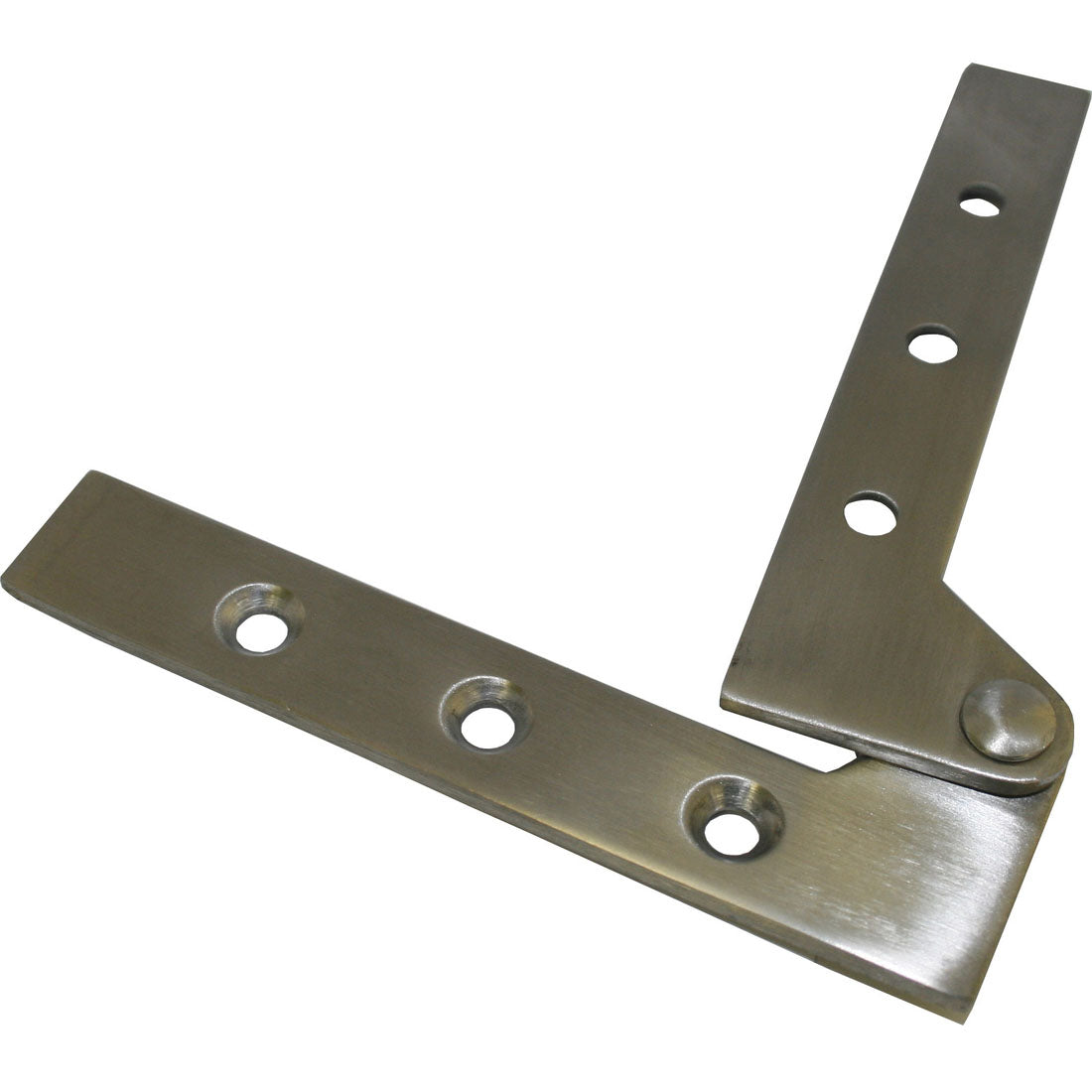 Stainless Steel Pivot Hinge