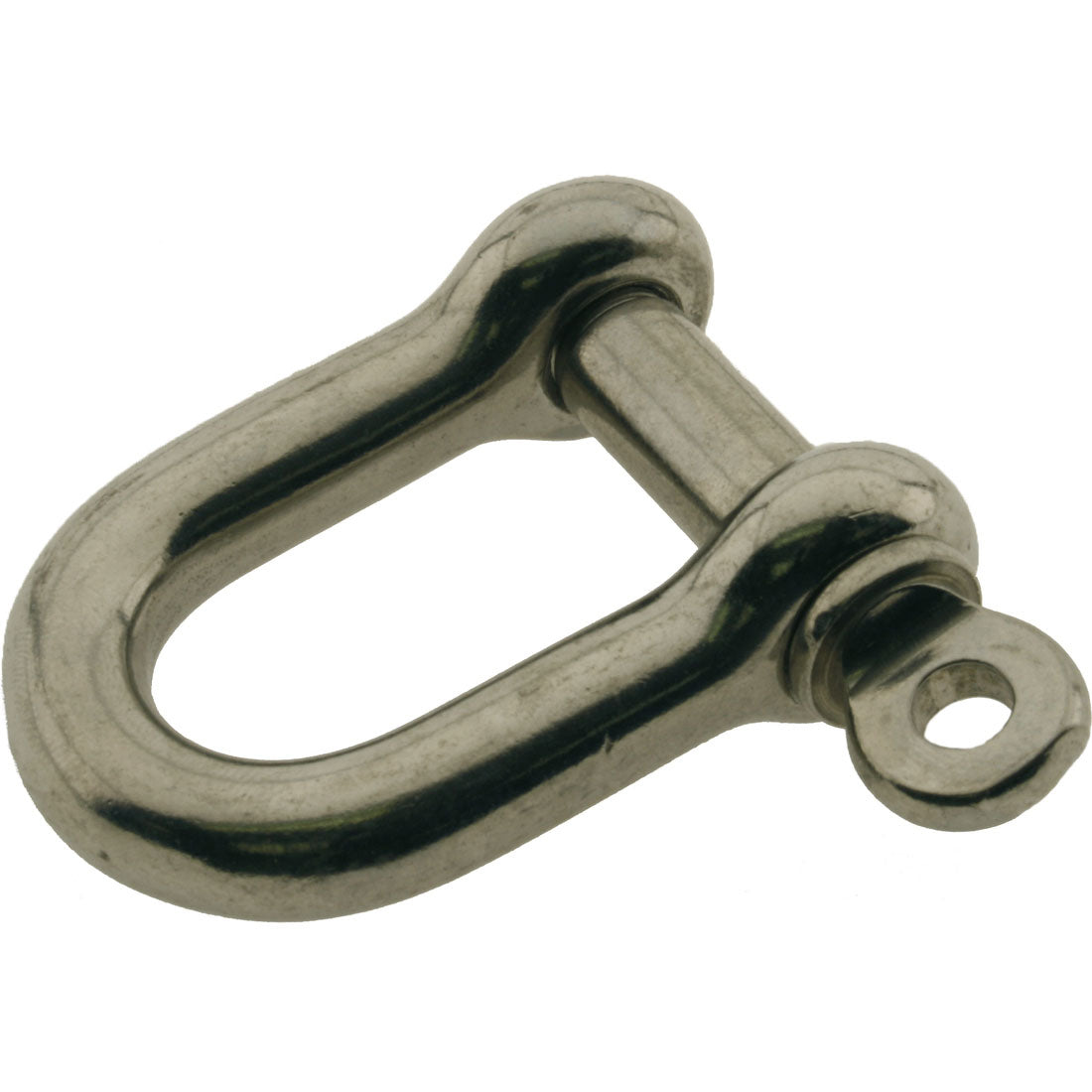 D Shackles Stainless Steel