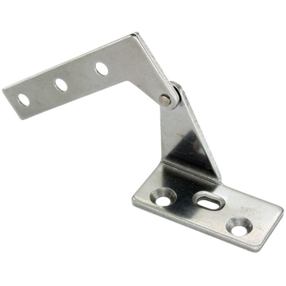 Stainless Steel Pivot Hinges