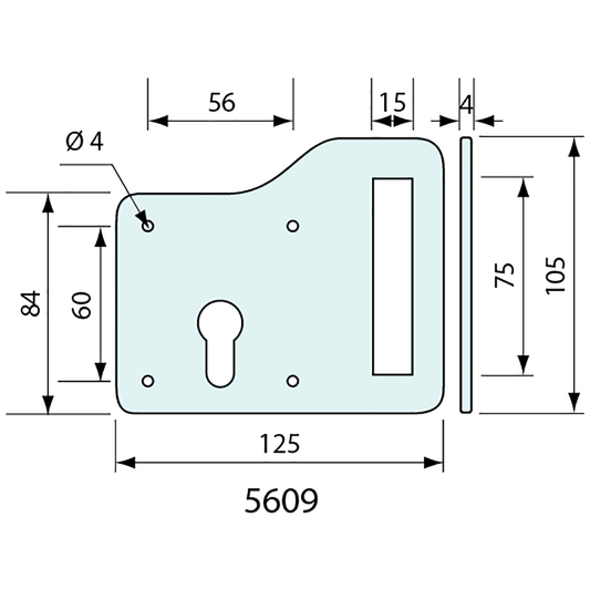 Lock Plate With Code Locking Bolt Standard And Slotted Lock Plates – Co-Mac