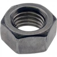 Hex Nut Stainless Steel M16